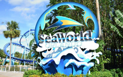SeaWorld looks to reopen